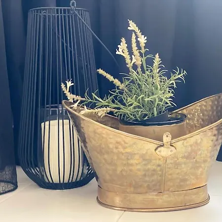 Lovely 1-bedroom With Free Parking Lejlighed Sofia